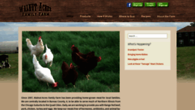 What Walnut4meat.com website looked like in 2019 (4 years ago)