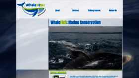 What Whalefish.org website looked like in 2019 (4 years ago)