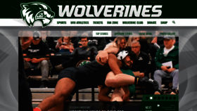 What Wolverinegreen.com website looked like in 2019 (4 years ago)