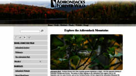 What Wildadirondacks.org website looked like in 2019 (4 years ago)