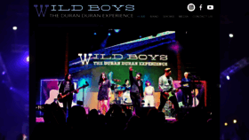 What Wildboysdd.com website looked like in 2019 (4 years ago)