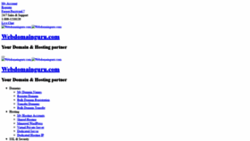 What Webdomainguru.com website looked like in 2019 (6 years ago)