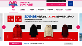 What White-ex.co.jp website looked like in 2019 (4 years ago)