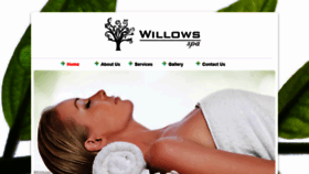 What Willowsspa.in website looked like in 2019 (4 years ago)