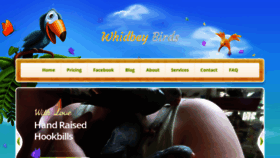 What Whidbeybirds.com website looked like in 2019 (4 years ago)