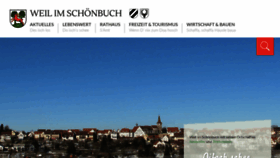 What Weil-im-schoenbuch.de website looked like in 2019 (4 years ago)