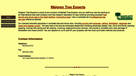 What Walgrentree.com website looked like in 2020 (5 years ago)