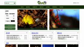 What Wildplant.kr website looked like in 2020 (4 years ago)