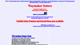 What Waymakersetters.com website looked like in 2020 (4 years ago)