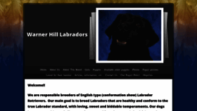 What Warnerhilllabradors.com website looked like in 2020 (4 years ago)