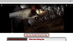 What Whitebassfishingtexas.com website looked like in 2020 (4 years ago)