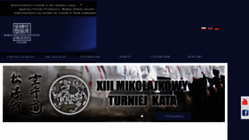 What Wsi-poland.org website looked like in 2020 (4 years ago)