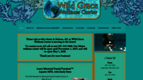 What Wildgracewellness.com website looked like in 2020 (4 years ago)