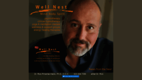 What Wellnestchattanooga.com website looked like in 2020 (4 years ago)