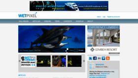 What Wetpixel.com website looked like in 2020 (4 years ago)
