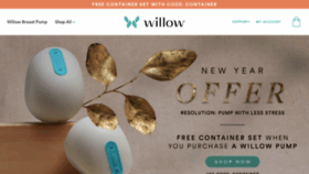 What Willowpump.com website looked like in 2020 (4 years ago)