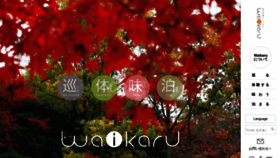 What Waikaru.com website looked like in 2020 (4 years ago)