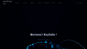 What Worimex.com website looked like in 2020 (4 years ago)