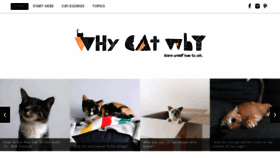 What Whycatwhy.com website looked like in 2020 (4 years ago)