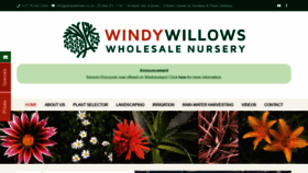 What Windywillows.co.za website looked like in 2020 (4 years ago)