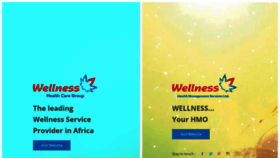 What Wellnesshealthcare.com.ng website looked like in 2020 (4 years ago)