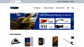 What Wallmart.win website looked like in 2020 (4 years ago)