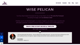 What Wisepelican.com website looked like in 2020 (4 years ago)
