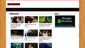 What Webanimal.com.br website looked like in 2020 (4 years ago)
