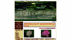 What Wakuwaku-lotus.com website looked like in 2020 (4 years ago)