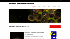What Wta.org.pl website looked like in 2020 (4 years ago)