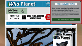 What Wildplanetphotomagazine.com website looked like in 2020 (4 years ago)