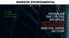 What Windsorenvironmental.com website looked like in 2020 (4 years ago)