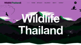 What Wildlifethailand.com website looked like in 2020 (4 years ago)