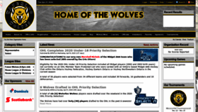What Waterloominorhockey.com website looked like in 2020 (4 years ago)