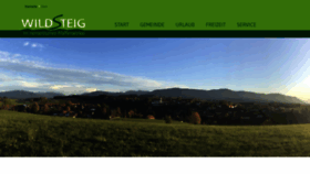 What Wildsteig.de website looked like in 2020 (4 years ago)