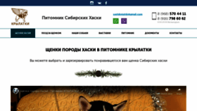 What Wingsdog.ru website looked like in 2020 (4 years ago)