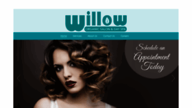 What Willoworganicsalon.com website looked like in 2020 (3 years ago)