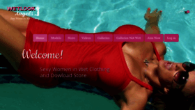 What Wetlookangels.com website looked like in 2020 (3 years ago)