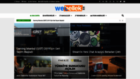 What Webellek.com website looked like in 2020 (5 years ago)