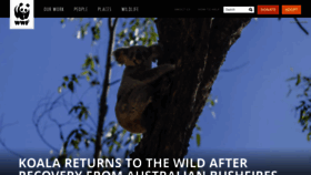 What Worldwildlife.org website looked like in 2020 (5 years ago)