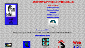 What Webanatomy.net website looked like in 2020 (3 years ago)