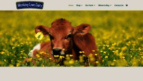 What Workingcowsdairy.com website looked like in 2020 (3 years ago)