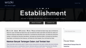 What Wozki.net website looked like in 2020 (3 years ago)