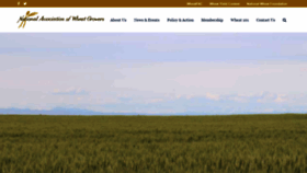 What Wheatworld.org website looked like in 2020 (3 years ago)