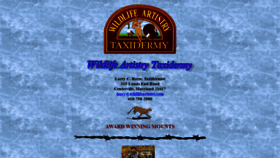 What Wildlifeartistry.com website looked like in 2020 (3 years ago)
