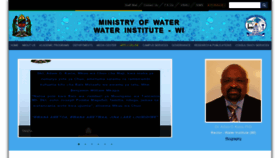 What Waterinstitute.ac.tz website looked like in 2020 (3 years ago)