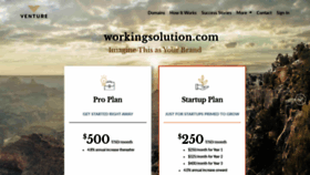 What Workingsolution.com website looked like in 2020 (3 years ago)