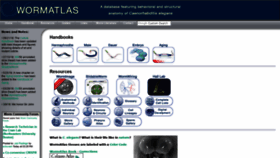What Wormatlas.org website looked like in 2020 (3 years ago)