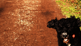 What Wildelycreative.com website looked like in 2020 (5 years ago)