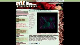 What Wildfermentation.com website looked like in 2020 (3 years ago)
